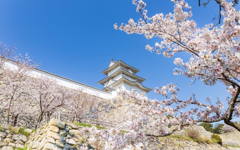 🌳 효고 현립 아카시 공원 (효고켄리츠 아카시 코엔) 이미지 7